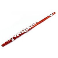 Sky Closed Hole C Flute with Lightweight Case, Cleaning Rod, Cloth, Joint Grease and Screw Driver - Wine Red Silver   